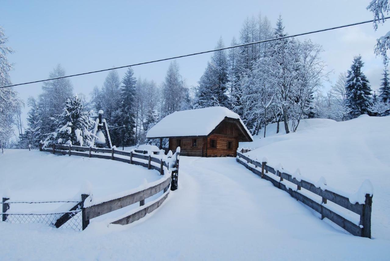 Ferienhaus Gobald Murau Exterior foto